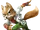 Fox (SSB4NS)