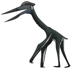 Albadraco tharmisensis