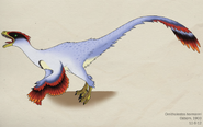 Ornitholestes