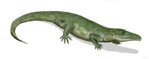 Proterosuchus BW