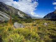 Antarctic Plains