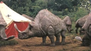 Shovel-horned laara