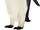 Ridgen's penguin (SciiFii)