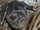 Northern white-winged vampire bat (SciiFii)