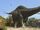 Great Green Apatosaurus
