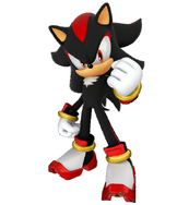 Shadow the Hedgehog, one of the World's Ultimate Lifeform on this island, along with Bass.EXEs.