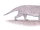 Ambulocetus (SciiFii)