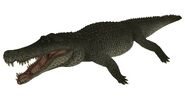 Deinosuchus