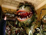 Audrey II (Little Shop Of Horrors)