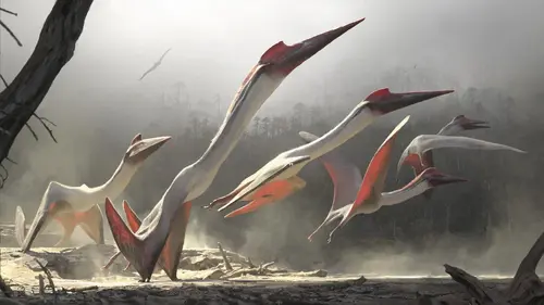 Quetzalcoatlus in the opening segment