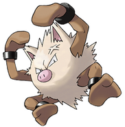 Primeape
