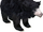 American sloth bear (SciiFii)