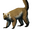 Greater baboon lemur (SciiFii)