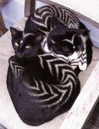 Satan's Cat, a breed of cat which was bred to have markings, making it look like a cat that belonged to Satan, which made this breed become very popular as pets.