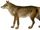 Channel Island wolf (SciiFii)