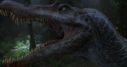 The Jurassic Park 3 Spinosaurus is a Spinosaurus Subspecies found on Isla Sorna and the island and are responsible for the breeding of Real Spinosaurus.