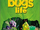 A Bug's Life (VeggieTales)