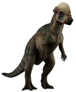 Pachycephalosaurus