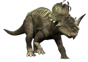 Modern Day Centrosaurus.png