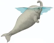 Common sea elephant (SciiFii)
