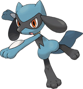 Riolu