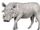 Cape warthog (SciiFii)