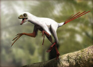 Epidexipteryx