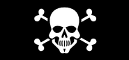 Pirate flag 3