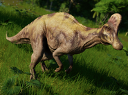 Corythosaurus