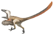 Velociraptor (SciiFii)