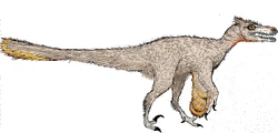 Pyroraptor olympius