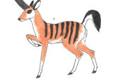 Metazoica Antelope