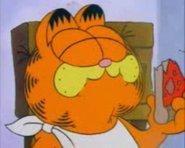 Garfield 01