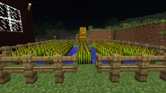 Huertos