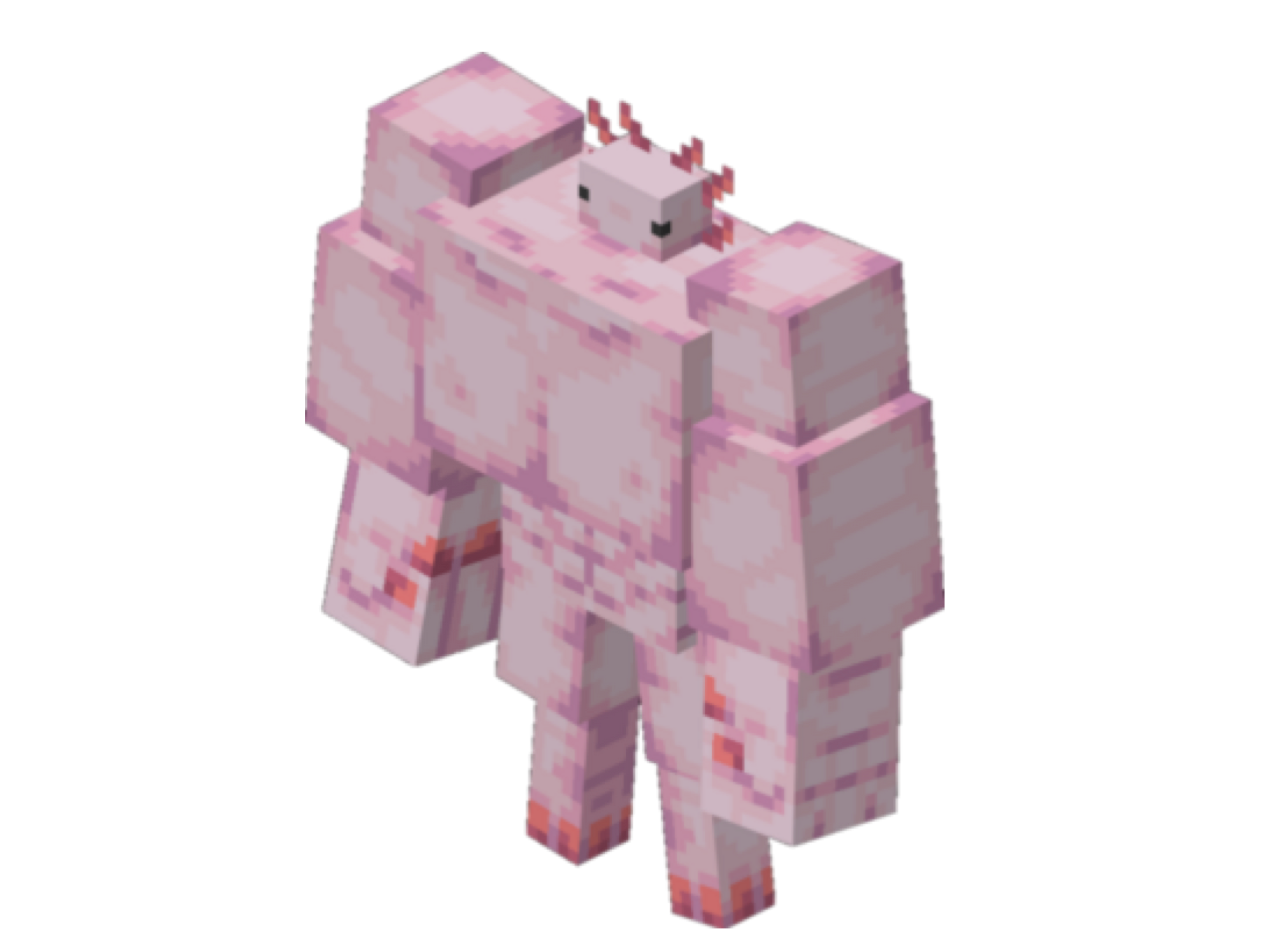 Ajolote Musculoso Wiki Fanonminecraft Fandom