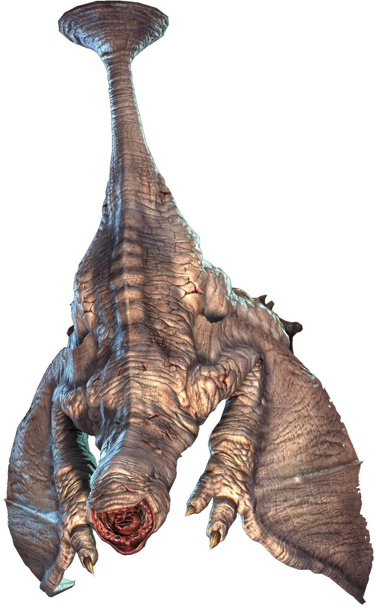 Khezu, Monster Hunter Wiki