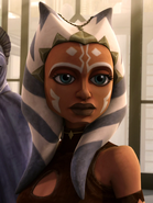 Ahsoka Wicter