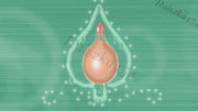 Magiczny-pył-tło-Evangelyn-halszka454.png