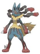 Amber's Mega Lucario, Luke