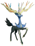 Amber's Xerneas, Exxy