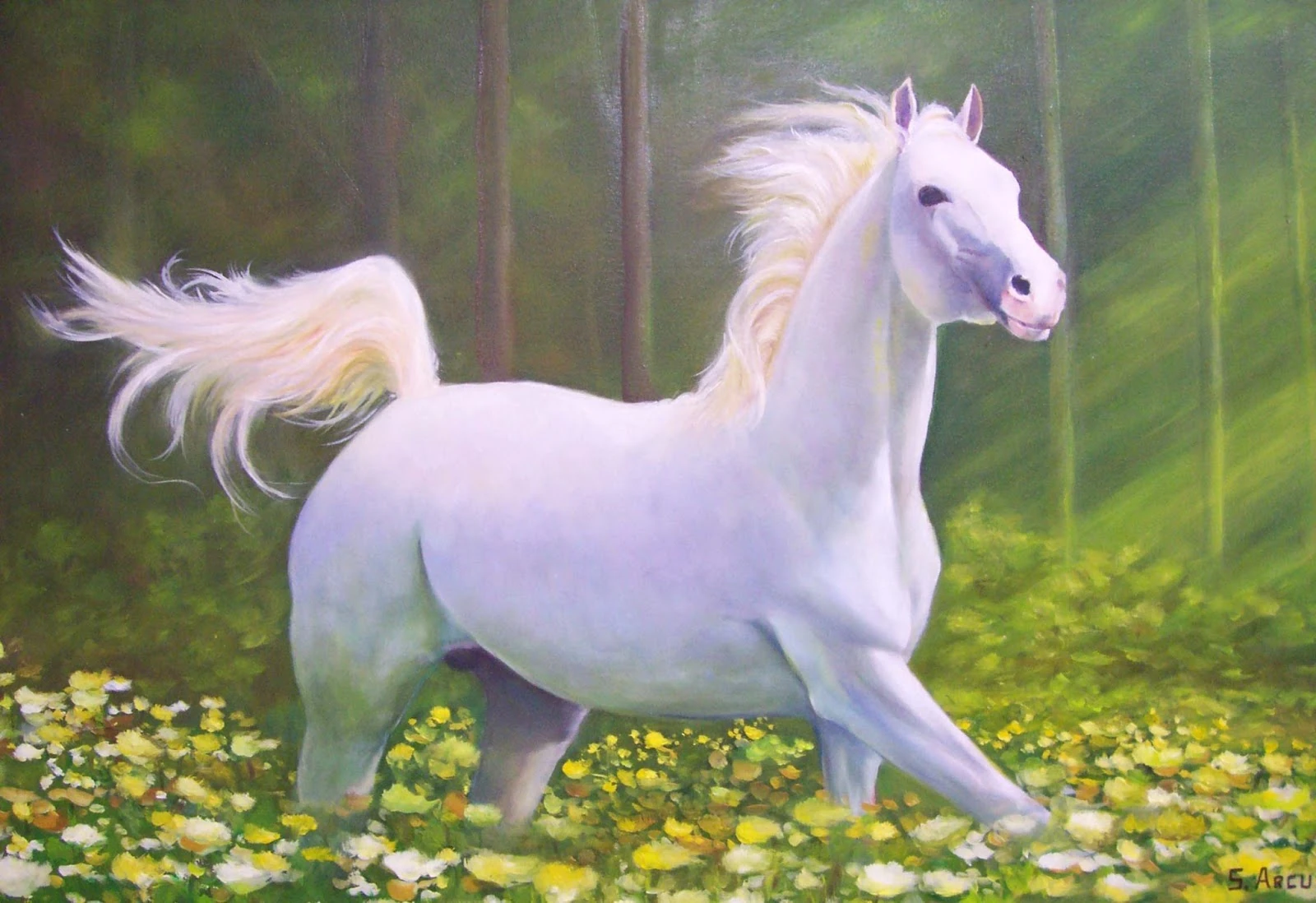 De quem é o cavalo branco?