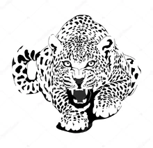 Depositphotos 82265738-stock-illustration-leopard-in-black-interpretation