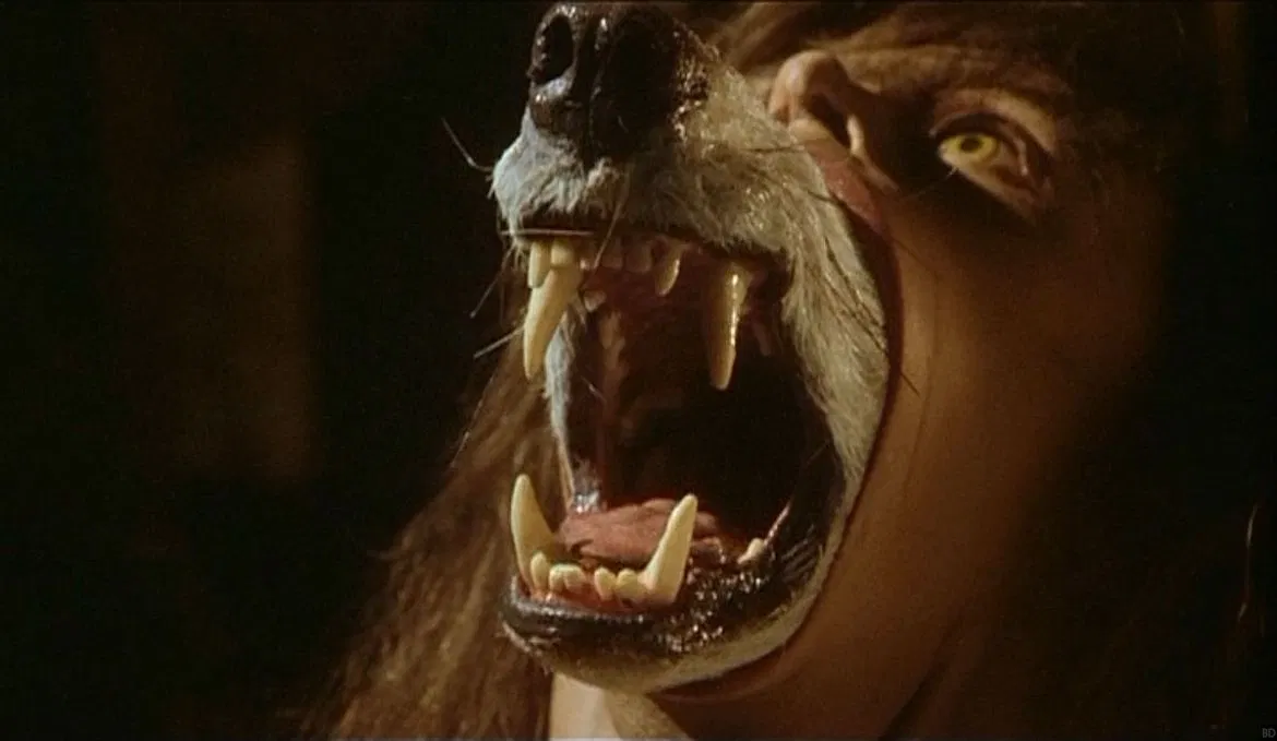 Lobisomem | Fantastipedia | Fandom, image size:1170x679