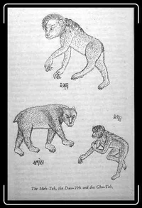 Representações do meh-teh, dzu-teh e chu-teh