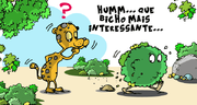 Conto-o-bicho-folharal2