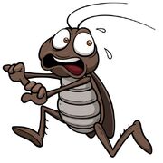 Depositphotos 34509665-stock-illustration-cartoon-cockroach