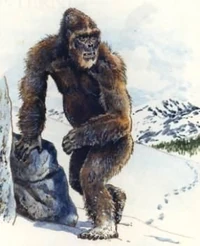 A concepção ocidental do yeti