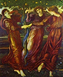 Hesperides burnejones