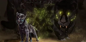 KuteKute por Douglas Nogueira