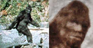 Fotograma de filme feito em 1967 por Roger Patterson e detalhe do rosto